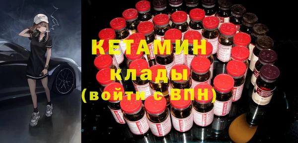 шишки Гусь-Хрустальный