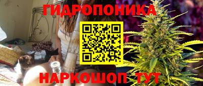 хмурый Жуковский