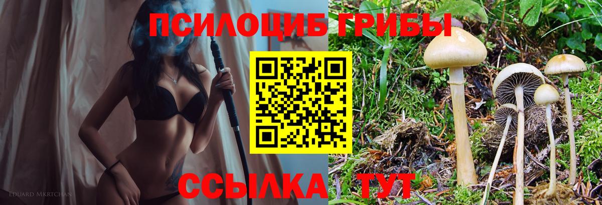 Псилоцибиновые грибы мухоморы Дюртюли